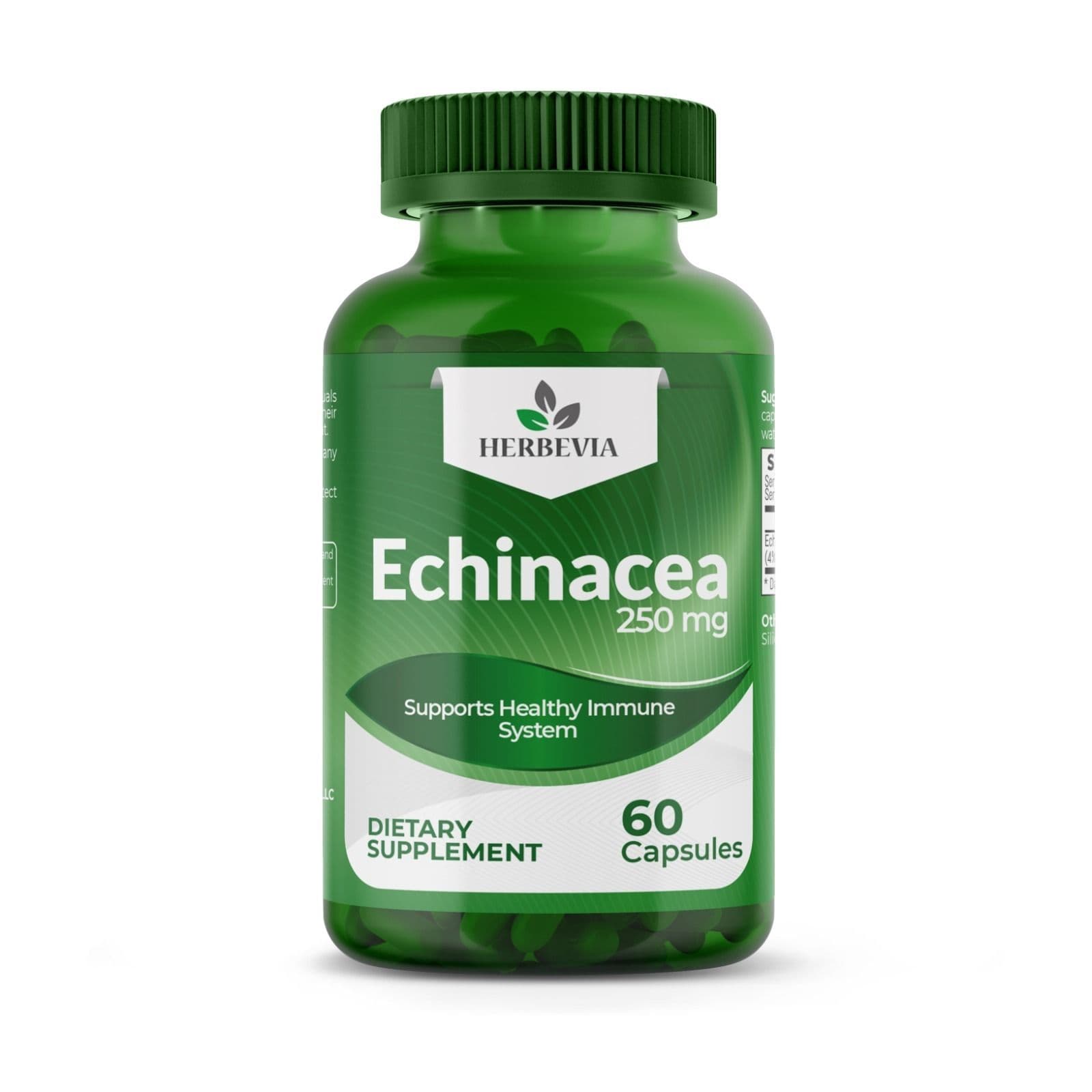 Echinacea-1