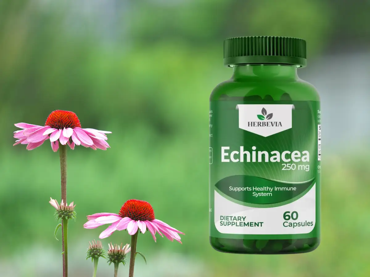 10 Amazing Health Benefits of Echinacea Supplements